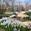 park (11)